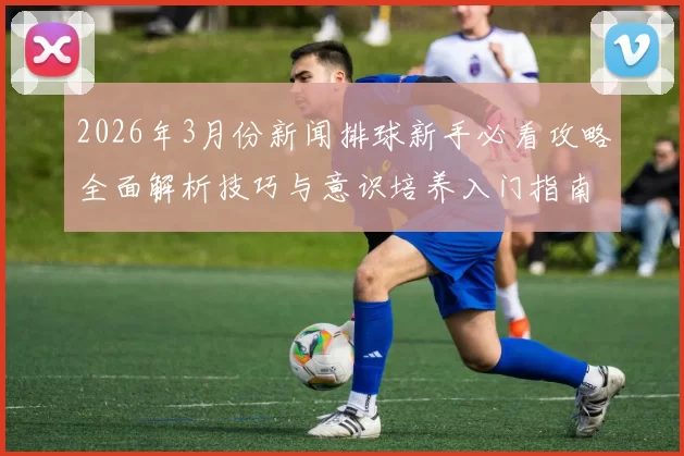 2026年3月份新闻排球新手必看攻略全面解析技巧与意识培养入门指南